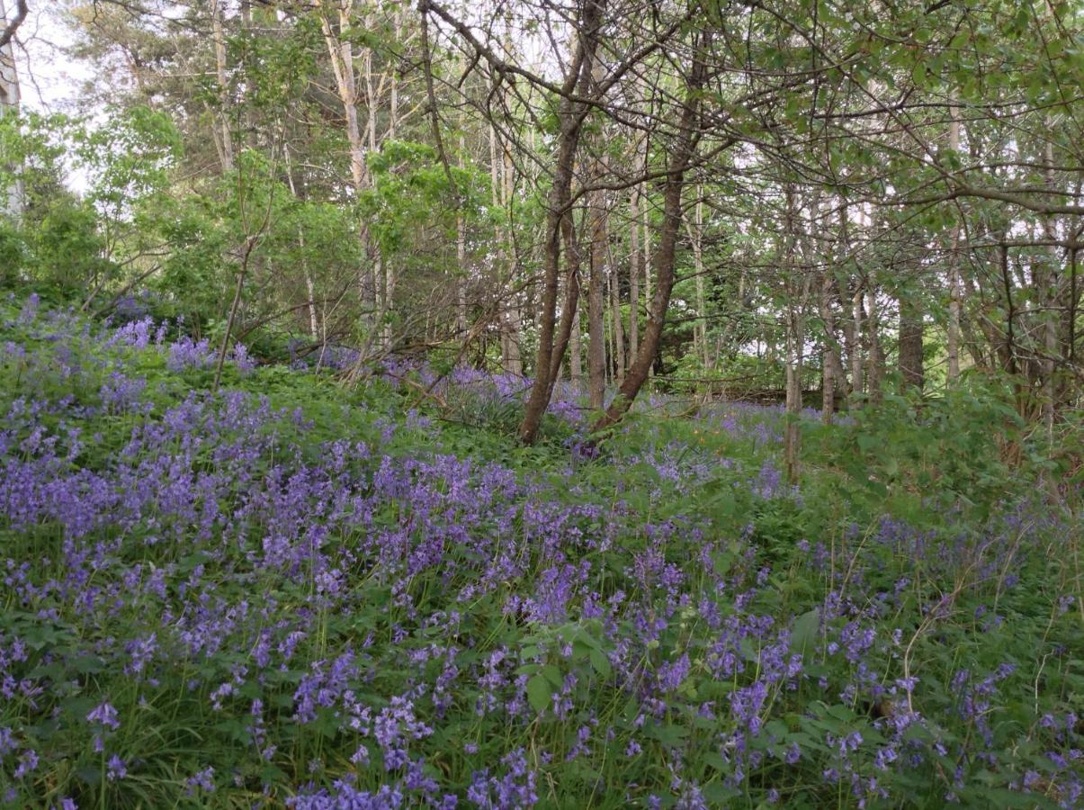 Dower House Newtonmore B&B Kültér fotó